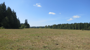 Field-2